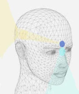 essential_me_article_picture