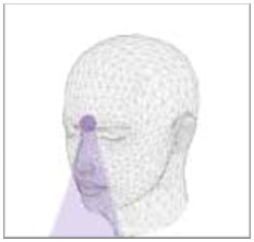 The Absolute Waking State