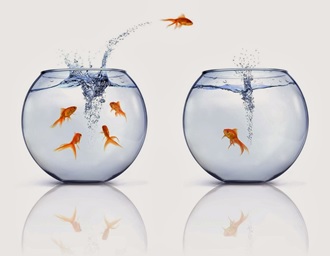 Free Will or Will to be Free